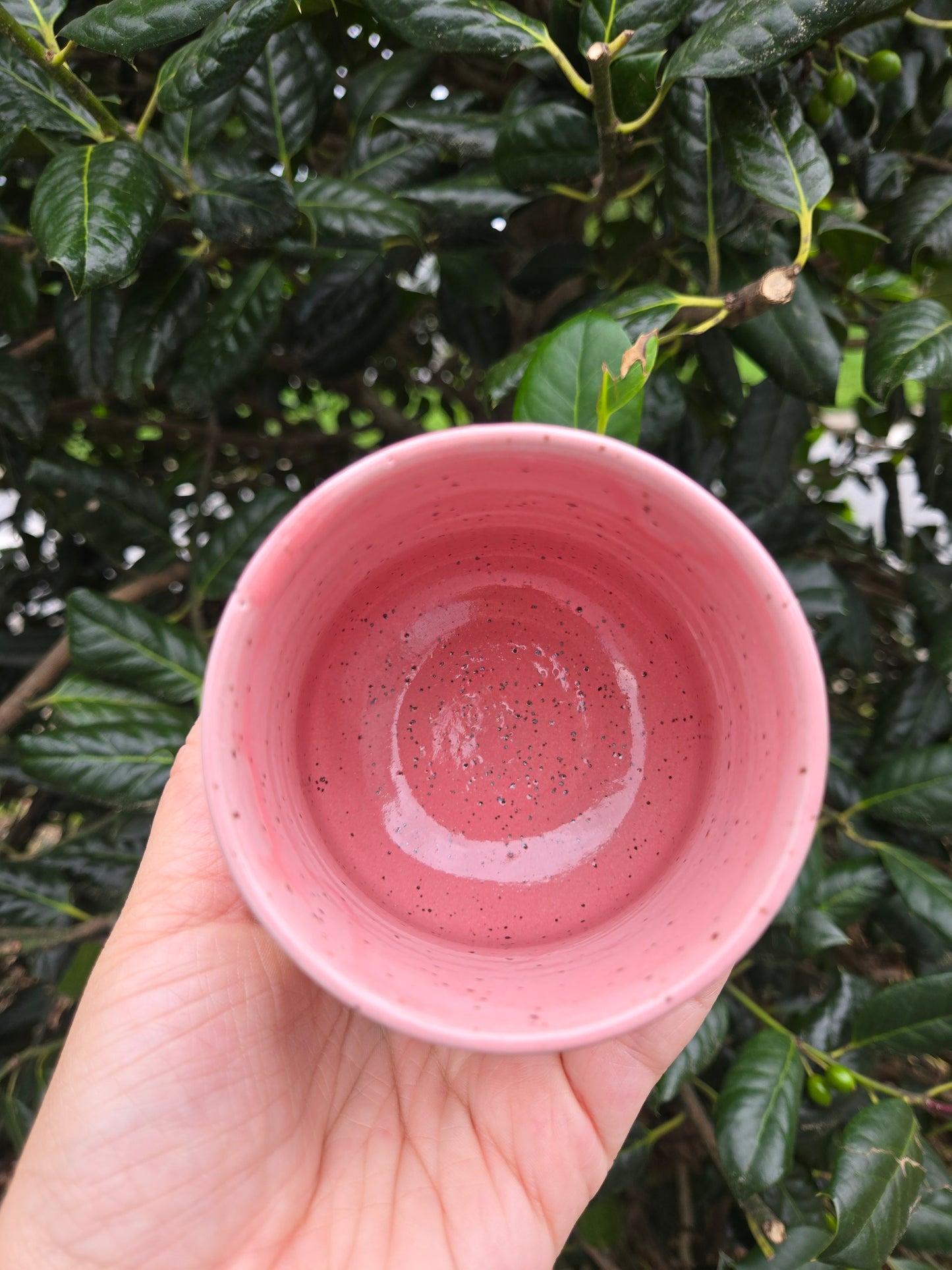 Summer Strawberry Wine Tumbler