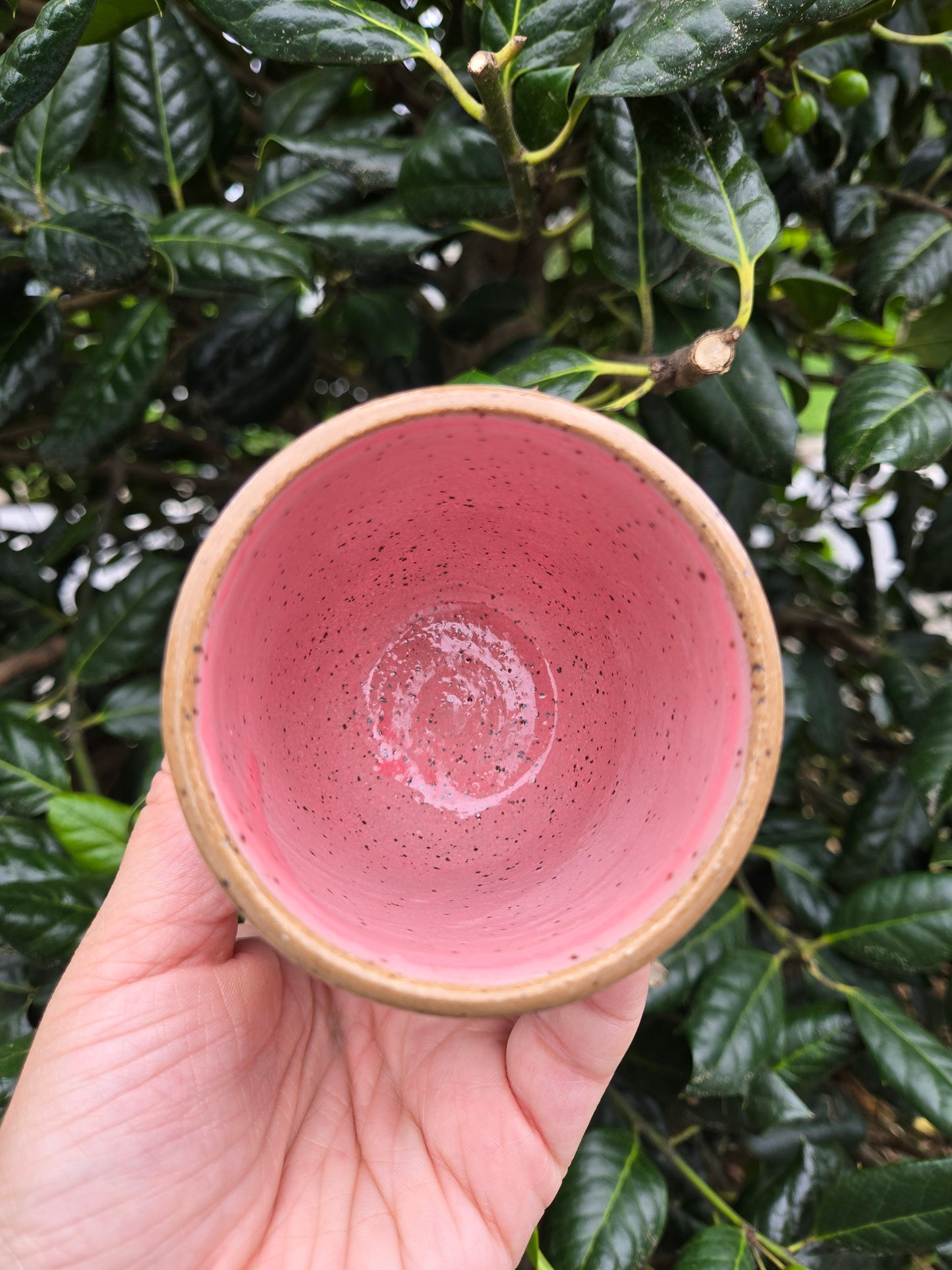 Summer Strawberry Stacking Cups (Set B)