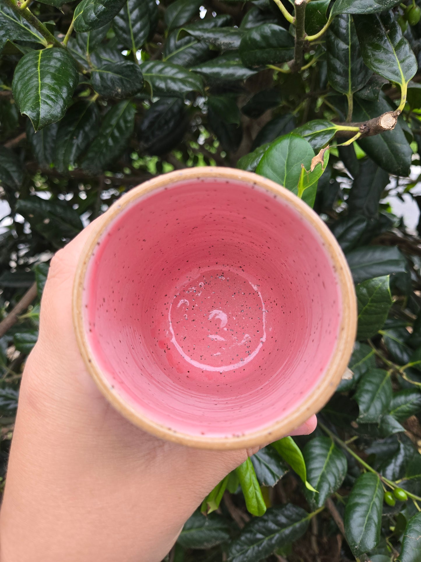 Summer Strawberry Tall Tumbler