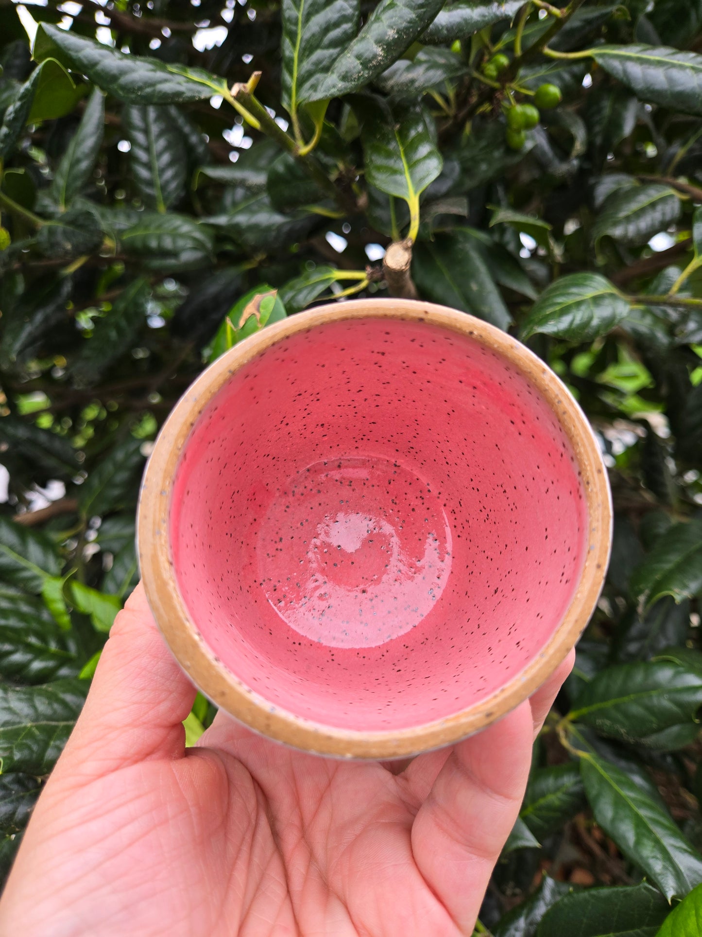 Summer Strawberry Stacking Cups  (Set A)