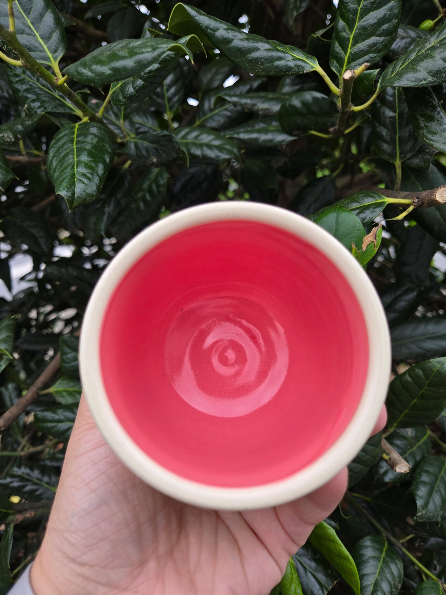 Sweet Critter Cups (Blue Raspberry & Key Lime)